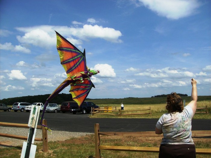 2008 KiteFestival-002.jpg